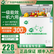 友田冷柜一级节能家用冰柜冷藏冷冻切换单双温冷冻柜小型保鲜商用大容量出租 218L单开节能款【送货入户 保修十年】