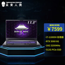 未来人类Terrans Force 魔鬼鱼DR722 17.3英寸游戏笔记本电脑(i7-11800H 16G 512G PCIe SSD RTX 3060 144Hz)
