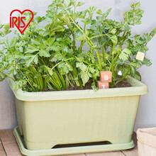 爱丽思IRIS 花盆托盘树脂加厚种植盆底盘垫接水盘塑料花盘长方形底托花盆底座 长约73cm