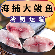 大鲅鱼马鲛鱼新鲜鲜活冷冻鲅鱼段海鱼海鲜批发 普米加罗 【精品鲅鱼段】中号 一斤装