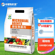 根力多生根粉 生根剂 树木移苗育苗扦插 微生物菌营养肥 苗木花卉通用促根壮苗保成活爆发型 中易购农资 1000克/袋