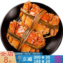 【活鲜】大闸蟹鲜活现货活体螃蟹六月黄海鲜水产全公母3两清水蟹河蟹毛蟹 塔布莫特 【2.0-1.5两 10只】只只有黄