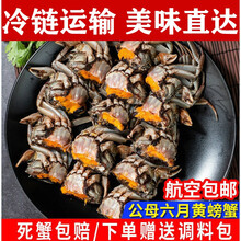 大闸蟹鲜活小螃蟹一元蟹江苏湖蟹小闸蟹生鲜食材  罗菲迪新 5-7钱-20只+加10只(六月黄)