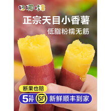 正宗天目山小香薯手指薯5斤新鲜临安板栗红薯10富硒地瓜山芋番薯 5斤 中果