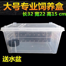 爬虫爬宠饲养盒箱子高透明亚克力缸柜一体树栖角蛙乌龟蜥蜴饲养盒 大号盒33*23*16水盆