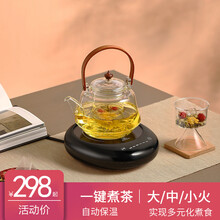 诺洁仕（LOCUS）茶炉电陶炉煮茶炉家用小型电炉迷你煮茶器光波电磁炉多功能陶瓷炉电茶炉功夫养生玻璃壶 智能升级版黑色茶炉+提梁蒸煮两用壶009款