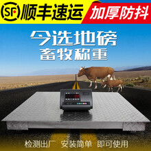 今选电子地磅秤1-3吨小型1000kg称重猪牛动物畜牧大型磅秤带围栏养殖场工业平台秤 【称猪牛推荐】1.5*1.5m台面1-3吨