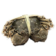 现货直发全母公母蟹新鲜大闸蟹鲜活螃蟹特大 礼盒六月黄 罗菲迪新 【净重1.7-2.2两】5公5母