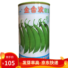凤鸣雅世金合欢甜豌豆种子甜脆豌豆种籽种子青豆大荚碗豆种籽散装秋冬季阳台四季播蔬菜种孑甜豆种籽蔬菜种子 金合欢甜豌豆种子900克