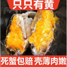 【活蟹】大闸蟹鲜活螃蟹特大六月黄全公母活体现货海鲜水产蟹类 安德兰 【1.8-2.2两】买6只+2只
