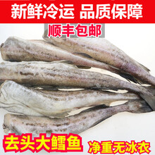 顺丰速运 鳕鱼新鲜海鲜水产鲜活冷冻无头鱼银狭鳕鱼明太鱼新鲜 锦蜜姬 【五斤】实惠装
