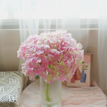 云南藏霞绣球鲜花家居水养七夕礼物 基地直发 粉色1枝