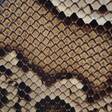 三弦蒙皮 金花蟒皮 单块二胡高胡三弦皮 扎念琴六弦琴蟒皮 鼓皮 25*25厘米三弦蒙皮厚皮