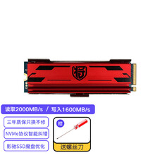 影驰M.2固态硬盘SSD PCIe NVMe协议电脑台式机硬盘 黑将PRO M.2 250G