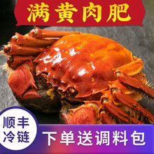 【活蟹】蟹满堂大闸蟹 精品六月黄  现捕现发 海鲜水产礼盒装 1.6-1.8两 8只装 六月黄