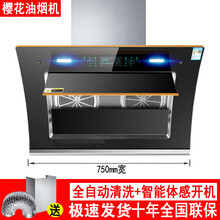 日本樱花侧吸式抽油烟机燃气灶套装壁挂式双核抽烟机家用自动高温清洗厨房超大吸力油烟机挥手体感（VIH） 顶配款750mm双电机上门安装 39立方自动清洗