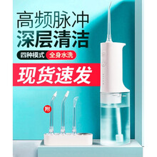 小米米家电动冲牙器便携式洗牙器牙齿结石水牙线家用口腔清洁神器闪易 米家电动冲牙器+顺丰