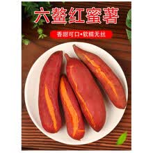 棠鲜生 福建六鳌沙地蜜薯 糖心红薯新鲜现挖番薯 9斤装 蜜薯