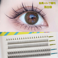 Y 假睫毛 混合装假睫毛单簇a型仙子毛嫁接假睫毛仙女鱼尾下睫毛混合装朵毛 五排鱼尾+A型+下睫毛