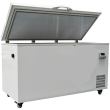 驰恩诚冷柜商用超低温冷柜-65度 DW65WJ770