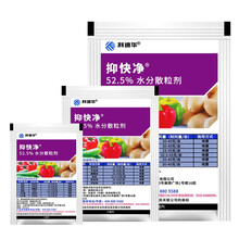 杜邦抑快净噁酮霜脲氰霜霉病早晚疫病葡萄黄瓜番茄蔬菜杀菌剂 9g