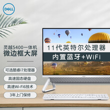 戴尔/DELL灵越5400家用办公23.8英寸一体机台式电脑整机 十一代英特尔 Win10 三年上门 【银色】11代奔腾G7505丨集显 8G/1T+256G/定制