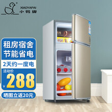 小鸭（LittleDuck）小冰箱家用小型双门迷你宿舍出租房公寓用冷藏冷冻电冰箱实用保鲜节能低音 【35升节能小冰箱 经典款 金色】