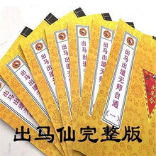 完整版出马出道无师自通详细解出马仙书籍萨满立堂口东北大神二神 炫夙