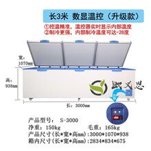 4米超大型冷柜2580L冷藏冷冻展示冰柜大容量商用卧式保鲜冰箱 长3米 数显温控（升级款）