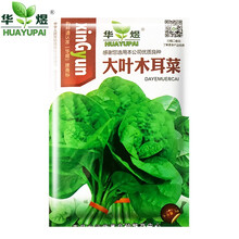 华煜 大叶木耳菜种子小青菜阳台盆栽菜种蔬菜种籽四季种植秧孑  大叶木耳菜种子1包   