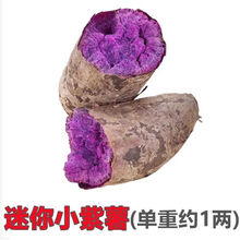紫薯新鲜紫心红薯地瓜板栗番薯 【5斤装】沙地小紫薯