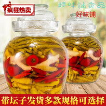 正宗坛装四川泡菜野山椒小米辣农家泡仔姜嫩姜酸豇豆角红灯笼泡椒 【坛装】5斤超厚玻璃坛+2斤什锦泡菜+3斤母水