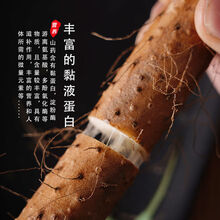 焦作温县铁棍山药正宗怀山药铁杆山药新鲜蔬菜河南特产 粉糯香甜 5斤精选温县铁棍40-50
