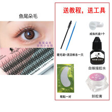 乐哉美妆 鱼尾朵毛网红人鱼嫁接朵毛 嫁接新手初学者种植眼毛浓密自然交叉 一盒鱼尾+嫁接胶水+工具+卸胶膏 8mm