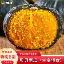 【精选香薯】西瓜红蜜薯红薯番薯板栗薯紫薯一点红冰淇淋根茎类蔬菜 贝贝南瓜（宝宝辅食） 精品果 10斤装