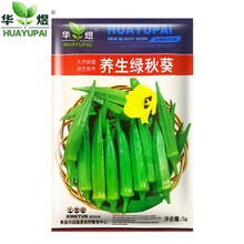 华煜 蔬菜种子四季阳台种植绿秋葵种子黄秋葵种子  绿秋葵种子1包