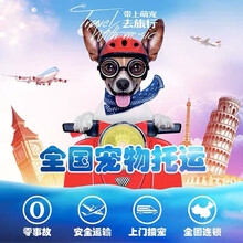 托运宠物托运服务宠物托运公司全国狗猫快递上门邮寄狗狗运输北京上海深圳广州杭州成都东莞国际国内猫咪空运