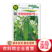 农科院京研黄瓜种子旱黄瓜种子翡翠黄瓜秧苗水果黄瓜苗青瓜四季绿玲珑黄瓜阳台盆栽蔬菜苗种苗菜种籽 京研绿翡翠2号10克