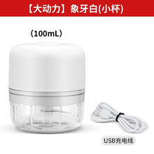 酷迪熊（kudixiong）迷你家用绞肉机打蒜沫辣椒绞肉无线电动捣蒜器拉蒜器小型辅食机 白色100毫升