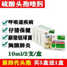 兽药第四代硫酸头孢喹肟注射液兽用副猪链球菌猪丹毒猪牛羊胸膜肺炎产后消炎仔猪三针保健