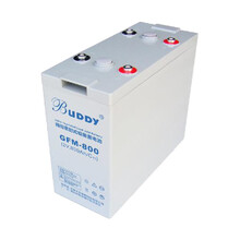 宝迪BUDDY GFM-800蓄电池2V800AH