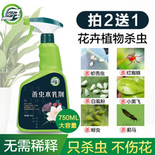 坤宁王花卉杀虫剂小飞虫植物土壤杀虫剂家用花药花草红蜘蛛杀虫蚧壳虫介壳虫蚜虫杀虫喷剂小黑飞月季蔬菜除虫 花卉杀虫剂750ml