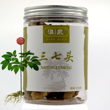 滇泉云南文山精选三七头正宗文山三七头田七头精选货特级田七头无剪口10头春三七头10个500g KN1 8头春三七头8个500g 一罐