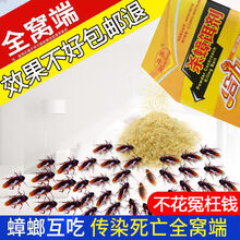 除杀蟑螂药一窝端灭蟑螂室内去蟑螂克星贴厨房家用蟑螂屋 5包杀蟑饵剂药粉 收藏产品关注店铺享优先发货