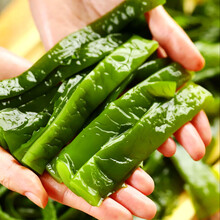 【鲜嫩爽口】荣成特产盐渍裙带梗新鲜海白菜海带海菜海菠菜裙带菜 5斤装盐渍裙带梗(海白菜)当季鲜货