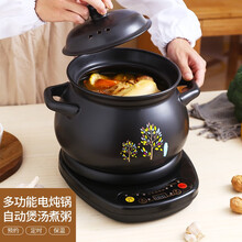 壶福分体式全自动电炖锅砂锅家用预约定时保温陶瓷沙锅电炖汤煲汤瓦煲罐耐高温锂辉石陶瓷 6.5L煲花(NFL)+智能黑底座A