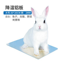 仓鼠夏天降温用品消暑冰屋兔子龙猫宠物降温冰垫冰板散热板凉席夏 降温板（大号）