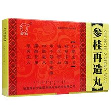 丹龙 参桂再造丸 7g*10丸 10盒装