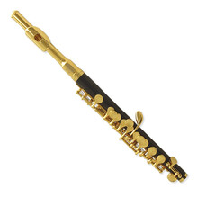 维斯曼 WISEMANN DPL-300 短笛