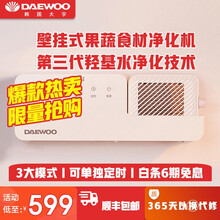 韩国大宇(DAEWOO)壁挂式食材净化机洗菜机家用果蔬清洗机蔬菜水果肉鱼虾净食机食材净化机去农药残留 白色